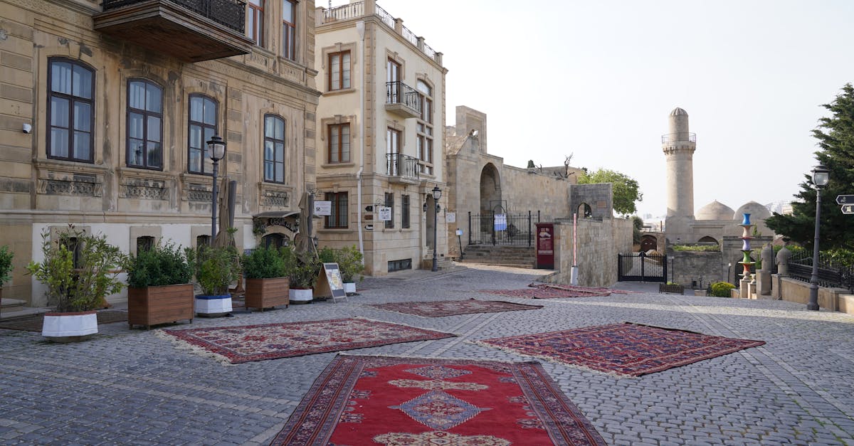 découvrez l'alphabet arabe : guide complet pour apprendre les lettres, la prononciation et l'écriture de la langue arabe facilement.