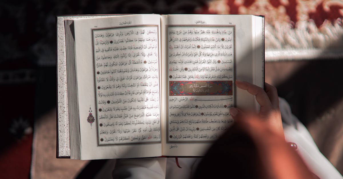 découvrez l'alphabet arabe avec les voyelles pour maîtriser la prononciation et faciliter l'apprentissage de la langue arabe.