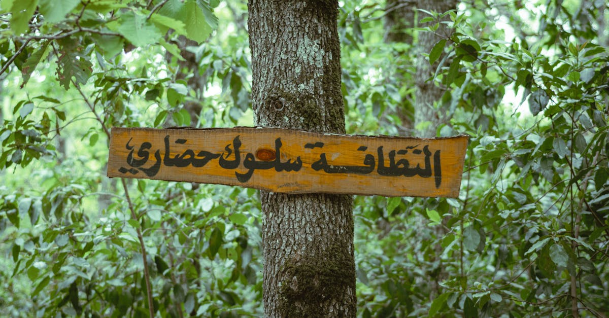 créez facilement des lettres en arabe au format pdf avec notre outil simple et rapide. parfait pour toutes vos correspondances en langue arabe.