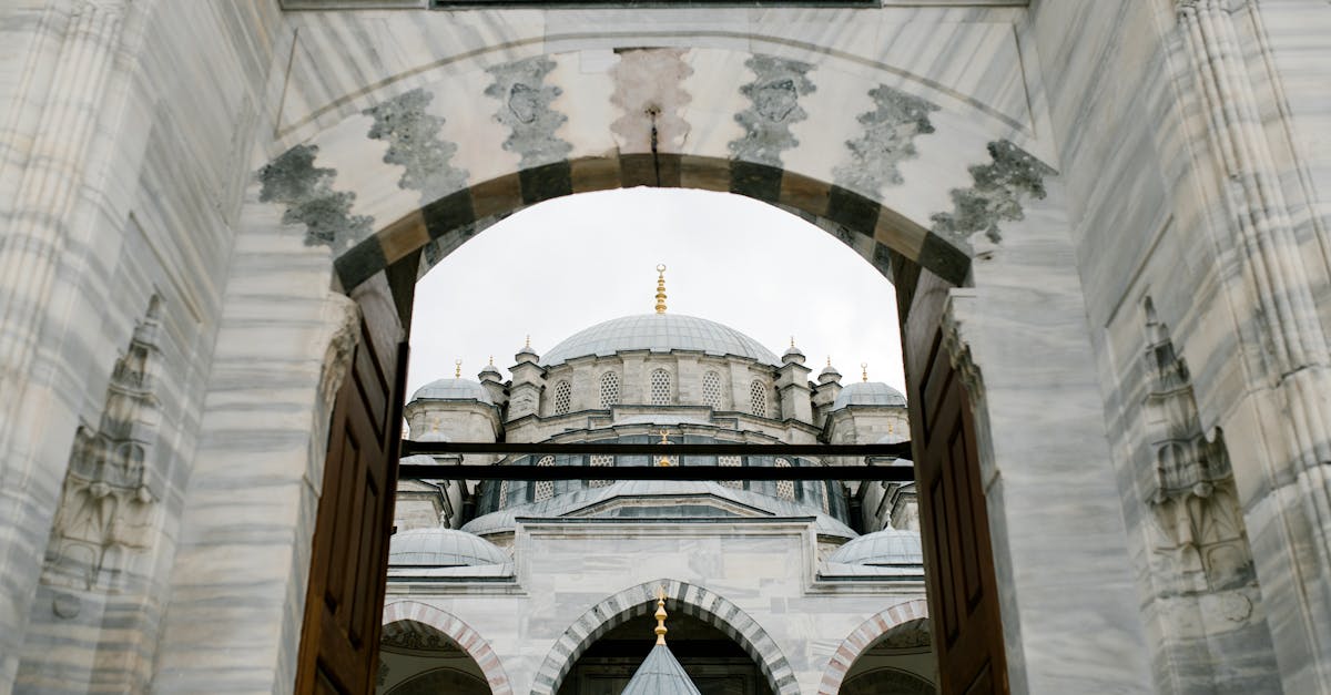 découvrez notre cours d'arabe complet, adapté à tous les niveaux, pour apprendre la langue et la culture arabes de manière efficace et interactive.