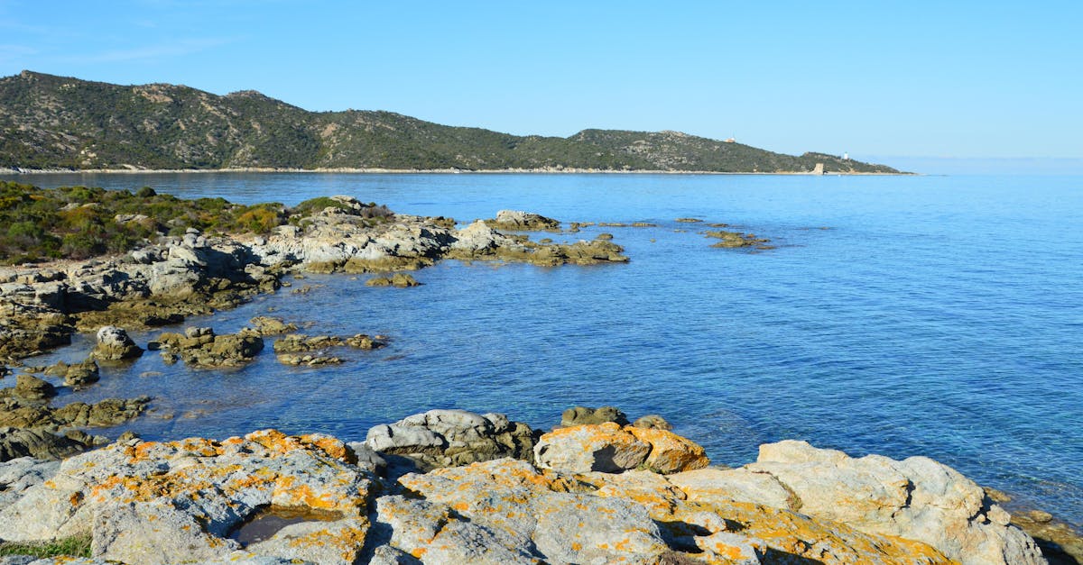 découvrez notre glossaire arabe-français complet pour faciliter la traduction et l'apprentissage des mots et expressions clés entre les deux langues.