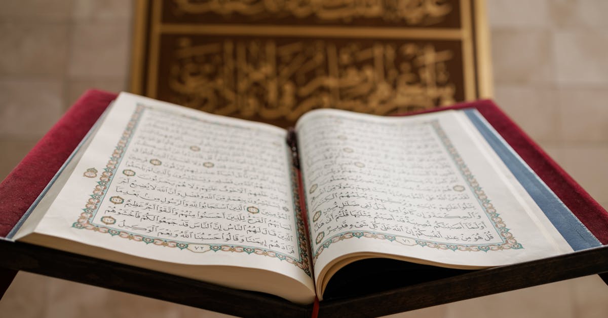 découvrez un vocabulaire arabe essentiel pour enrichir votre maîtrise de la langue. apprenez des mots et expressions courantes adaptés à tous les niveaux.